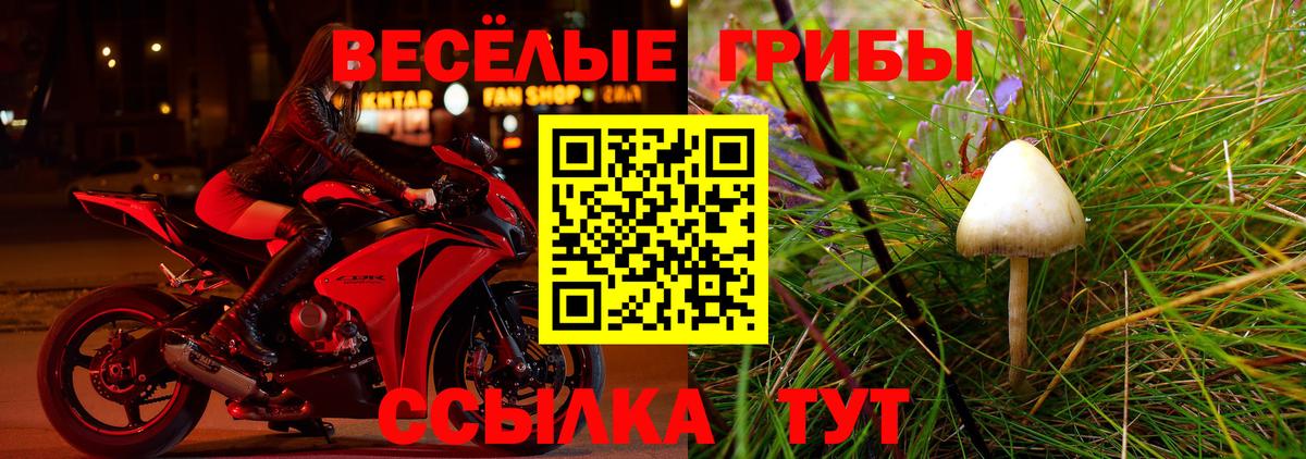 Конаково  Псилоцибиновые грибы прущие грибы  Вход с VPN 
