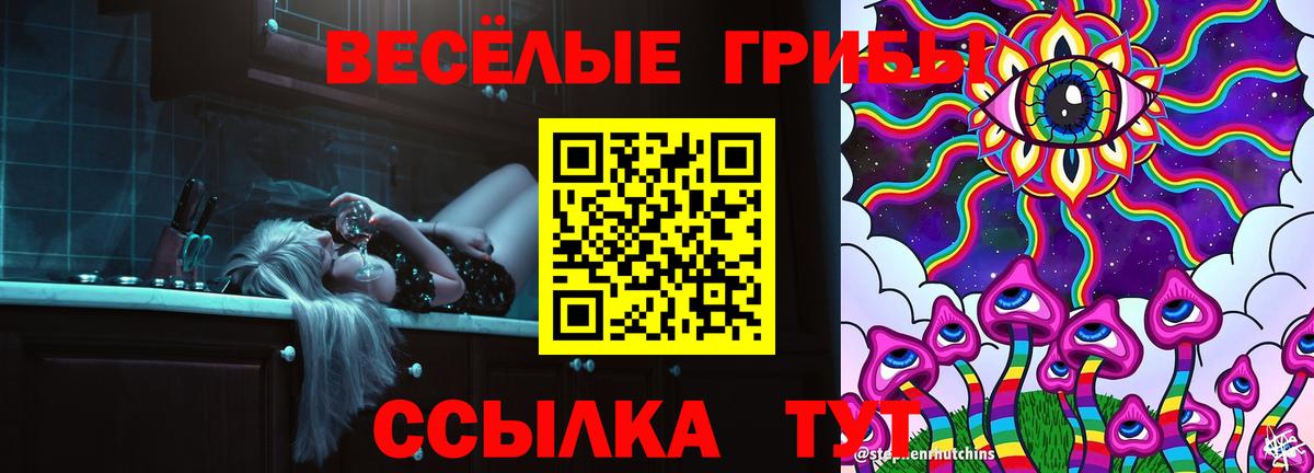 ГАШ Конаково