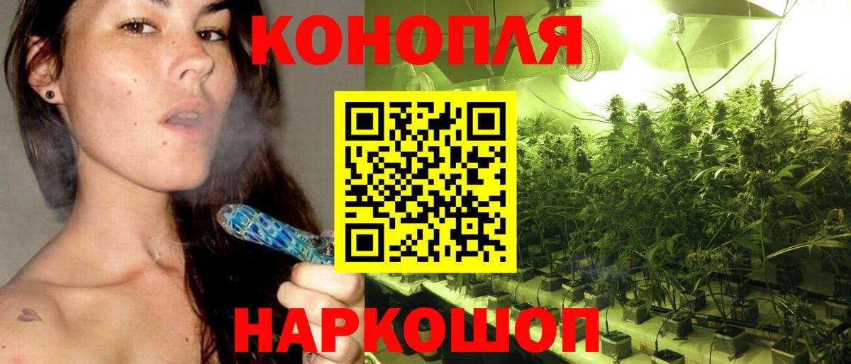 Бошки Шишки тримм  Конопля гибрид  Вход с VPN  Марихуана план  Конаково 